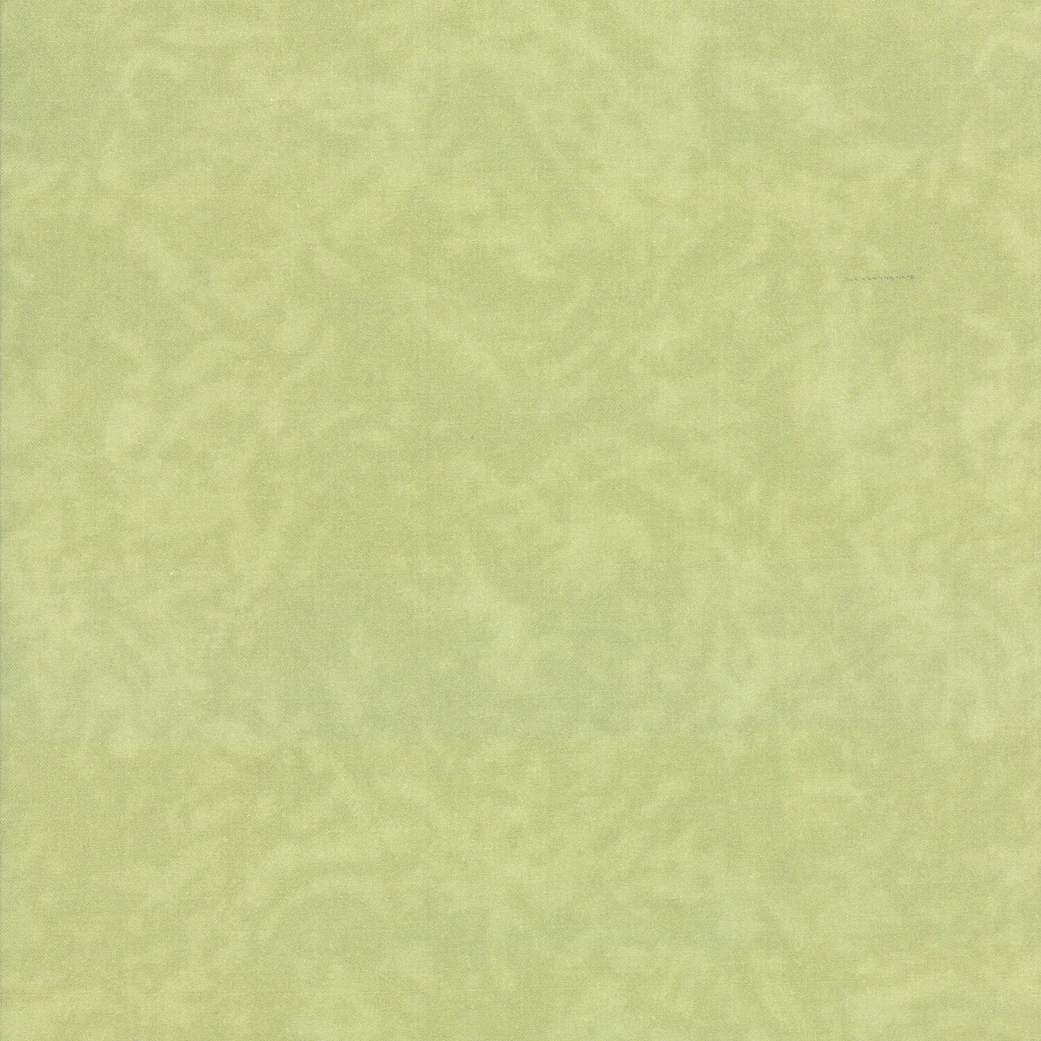 Flea Market Mix • Pistachio Green Flax Texture • 7357 14D